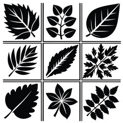Fototapeta premium Set of vector leaf and feather icons for nature pattern design and autumn illustration