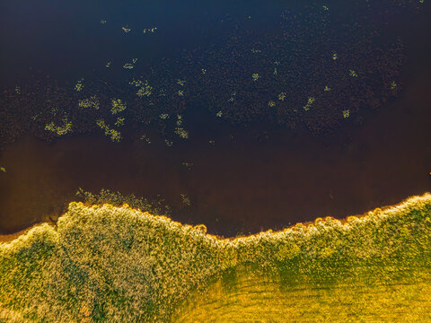 Aerial view of the dark waters meeting the golden shore, a mesmerizing dance of light and shadow on the landscape, Nesselwang, Bayern, Germany.