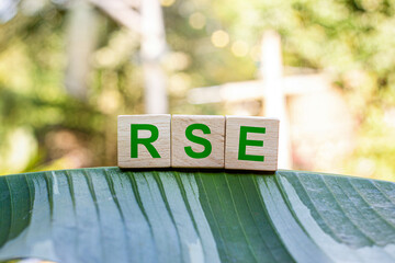 RSE stands for Relative Standard Error. In statistics it measures the deviation of an estimate from a sample expressed as a proportion of that estimate.