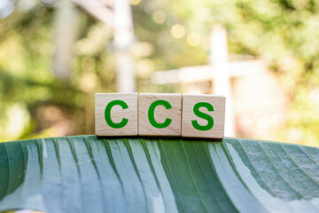CCS stands for Carbon Capture and Storage. It is a technology used to reduce the amount of carbon dioxide CO2 released into the atmosphere by capturing the CO2 at sources such as industrial plants.