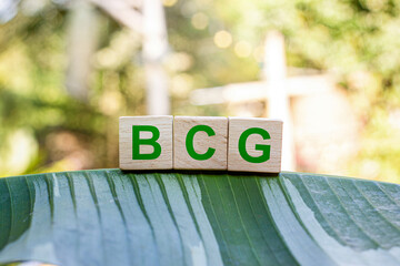 BCG stands for Bio Circular Green Economy. It is a holistic economic development model that emphasizes utilizing Thailand's biodiversity and culture coupled with sustainable and environmentally.