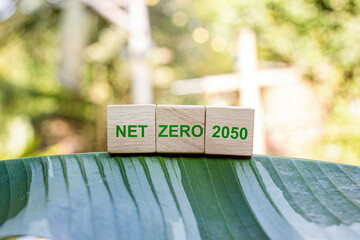 NET ZERO 2050 generally refers to the goal or intention to achieve Net Zero greenhouse gas emissions by 2050 or as soon as possible.