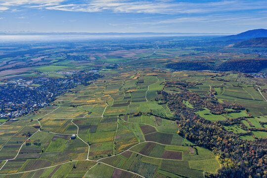 Aerial view of patchwork fields of green and gold stretch toward the horizon under a vast blue sky, a symphony of rural beauty, Rouffach, Grand Est, France.