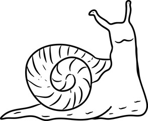 Hand Drawn Snail