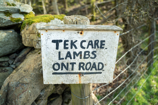 Cumbrian dialect