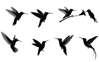 A collection of black hummingbird silhouettes depicting various flight positions. Vector illustration set of tiny birds isolated on a white background