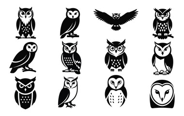 Collection of stylized black owl icons and graphic bird symbols for logos, emblems, or tattoos. A set of vector illustrations on a white background