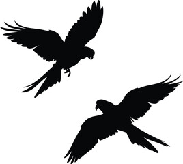eagle in flight vector
