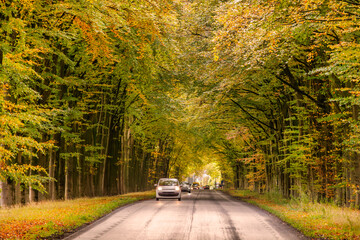 Naklejka premium Autumn view of a local road with passing cars with colorful trees on the Dutch Veluwe in Gelderland