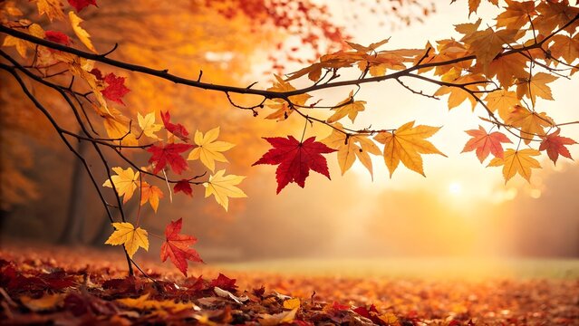 Colorful autumn leaves hang from tree branches and cover the ground, bathed in warm golden sunlight during a serene morning mist.