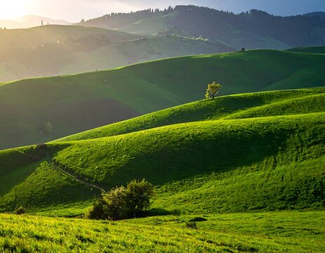 Rolling green hills bathed in warm sunlight create a serene landscape. A lone tree sits atop one hill