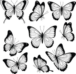Butterfly, Silhouette, Vector, Insect, Wings, Drawing, Black, White, Nature, Pattern, Design, Art, Illustration, Graphic, Symmetry