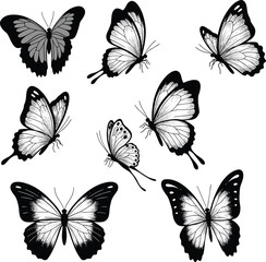 Butterfly, Silhouette, Vector, Insect, Wings, Drawing, Black, White, Nature, Pattern, Design, Art, Illustration, Graphic, Decorative