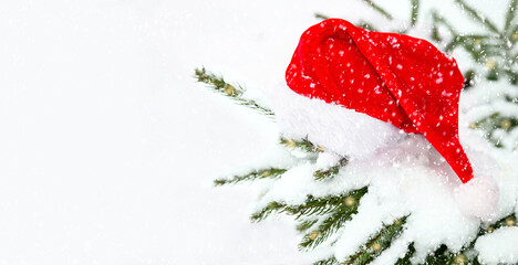 Red Santa hat hanging on the branch snow-covered spruce Christmas tree in the winter coniferous forest. Christmas, New Year, winter holiday. Copy space.