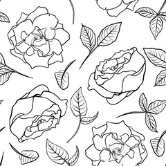 Botanical Engraving Vector seamless pattern. Hand drawn outlines peony and rose in line art. Repeated monochrome flowers texture for textile. Minimalist contour black white floral motif.
