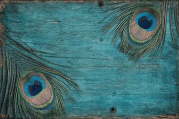 Teal Peacock. Rustic Antique Teal Blue Wood Sign with Peacock Feathers