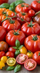 Fresh Tomatoes - A Vibrant Display of Garden Bounty.