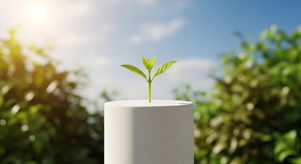New Life - A Sprout Emerges in a Sustainable Future.