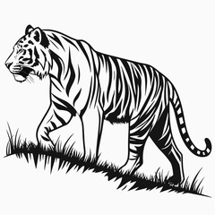 tiger vector illustration