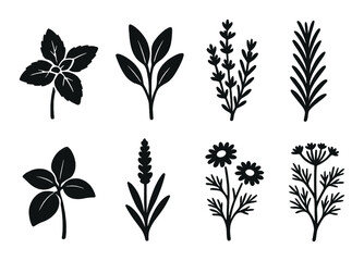 Silhouette icons of seven aromatic herb designs on dark background