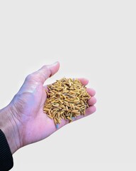 "Farmers' hands with the seeds of the future."