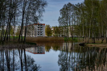 Obraz premium Calm Pond with Tree Reflections — City Park View