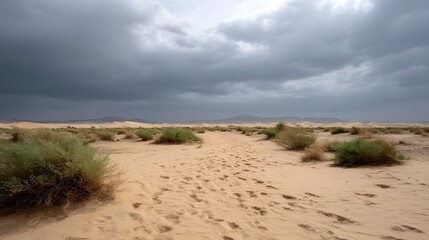 A desert sand path with footprints and sparse vegetation under dark stormy clouds
