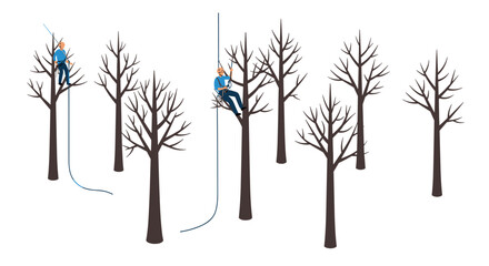 Fototapeta premium Arborists pruning trees with ropes in winter forest