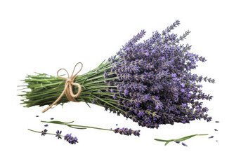 Fresh lavender bouquet, aromatic purple flowers tied with twine