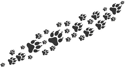 Animal Paw Prints - A Trail of Footprints on White Background.