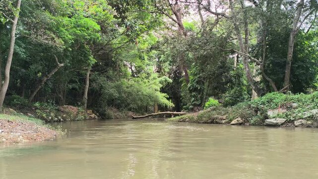traveling sailing on river lake in tropical forest jungle