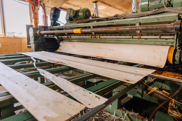 Industrial wood processing machine in action, cutting large wooden planks on a green conveyor, showcasing craftsmanship and precision in a workshop environment with natural lighting