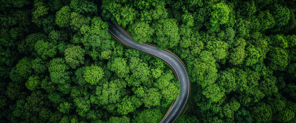 aerial view of a winding road through a lush green forest, 