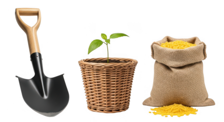 Gardening tools and plant with bag of pasta, symbolizing growth and nourishment