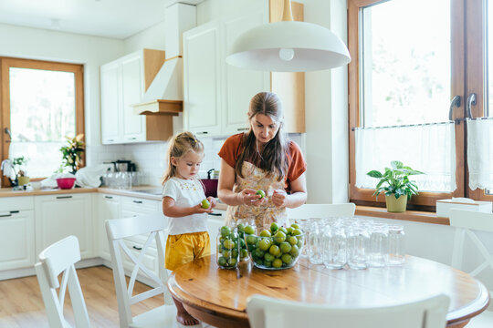 Mother and little daughter sorting greengage plums before canning in bright home kitchen