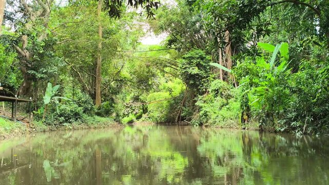 traveling sailing on river lake in tropical forest jungle