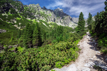 View of a winding, rocky trail ascending through lush greenery towards imposing, jagged peaks under a vibrant sky, Vysoke Tatry, Presov Region, Slovakia.