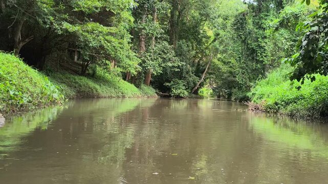 traveling sailing on river lake in tropical forest jungle