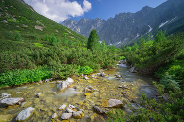 View of a clear stream flowing through a verdant valley, embraced by rugged mountains and a bright sky in Tatranska Javorina, Presovsky kraj, Slovakia.