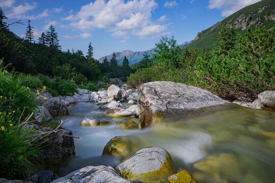 View of a mountain stream cascading over smooth, sun-kissed rocks, framed by vibrant green vegetation under a bright sky, Tatranska Javorina, Presovsky kraj, Slovakia.