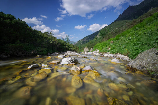 View of a shallow stream flowing over smooth rocks, flanked by lush green vegetation under a bright blue sky in Tatranska Javorina, Presovsky kraj, Slovakia.