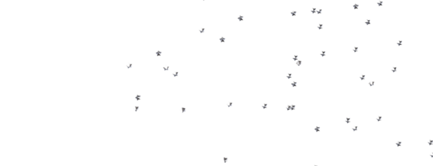 Golden Rainfall: Lose Yourself in a Mesmerizing 3D Stars Downpour