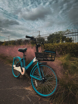 Turquoise Bicycle Parked Beside Pink Grass Under Cloudy Sky