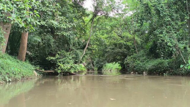 traveling sailing on river lake in tropical forest jungle