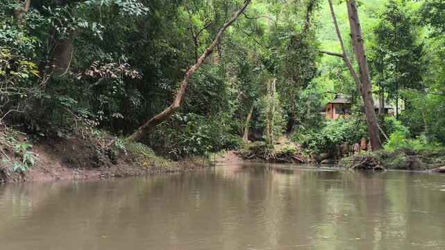 traveling sailing on river lake in tropical forest jungle