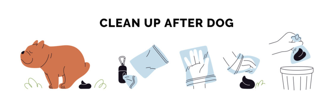 Clean up after dog infographic. Canine animal defecation, hand using bag to pick up poop, cleanup feces, waste, throwing dispose into trash bin. Flat vector illustration isolated on white background.
