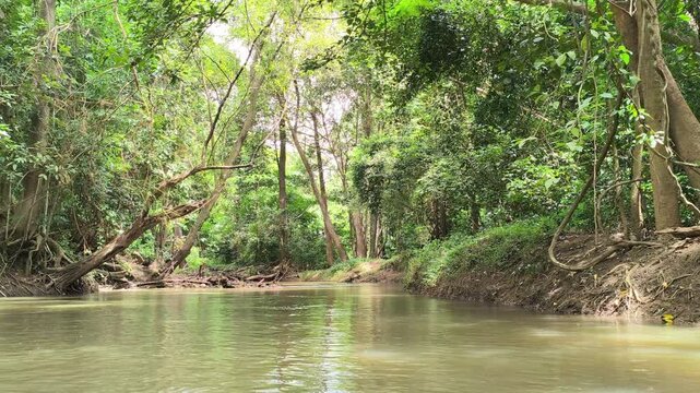 traveling sailing on river lake in tropical forest jungle
