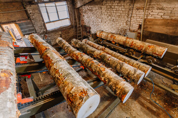 Logs of various sizes are arranged on a sawmill conveyor, showcasing the wood processing environment with tools and machinery in a rustic workshop setting