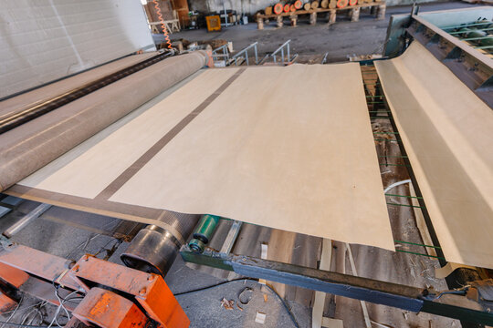 Industrial paper production process showing large rolls of paper being processed on machinery in a factory setting with visible textures and materials for commercial use