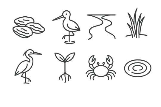 Estuary Line Icons. Line style icons of Estuary: Oyster Bed, Wading Bird, River Mouth, Marsh Grass, Heron, Mangrove Seedling, Crab